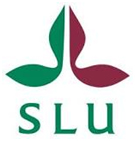 SLU